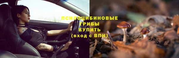 герыч Белокуриха