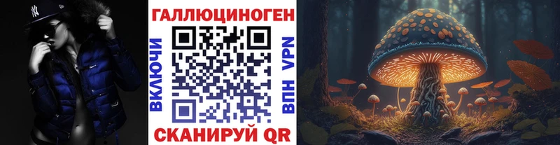 Галлюциногенные грибы Psilocybe  Купить закладки  Сычёвка 